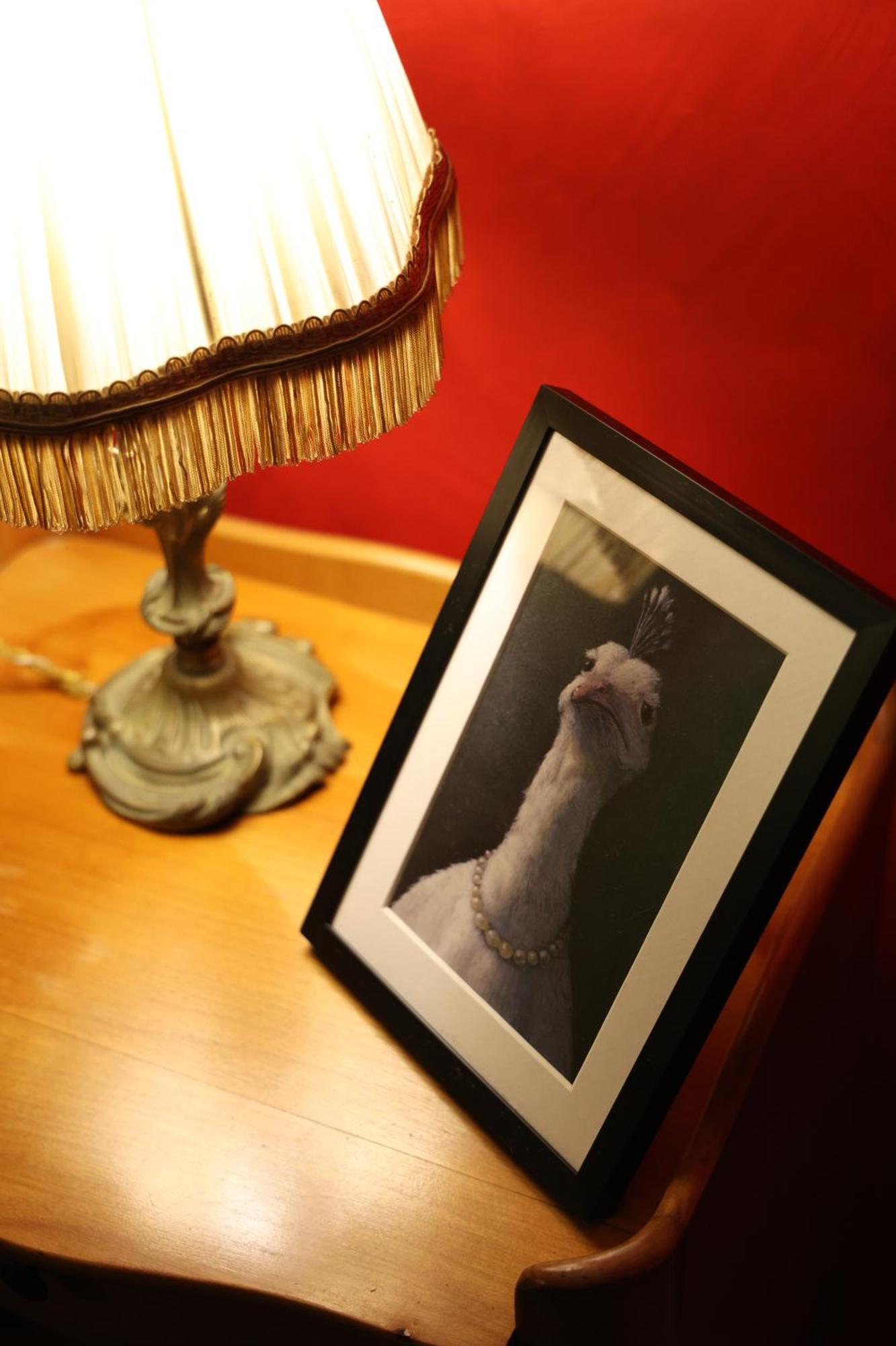 Apartment Amelie In Hidden Gem Montmartre Paris